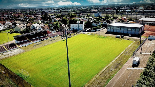 双方阵容中 双方阵容中