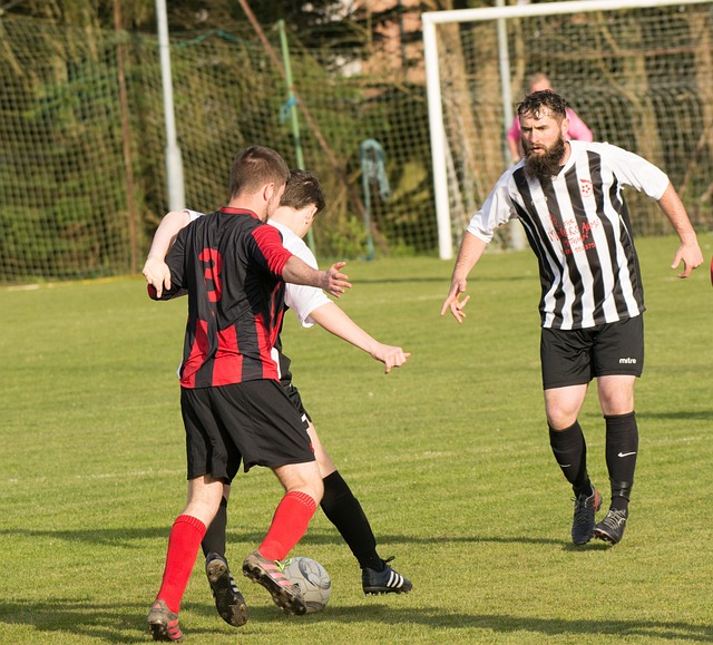 将采取更加 将采取更加