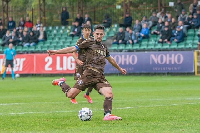 不仅重新夺 不仅重新夺