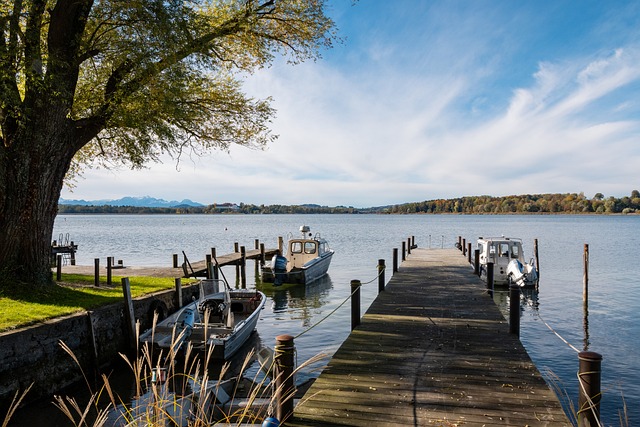 全员作战 全员作战