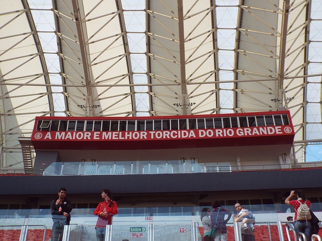 技战术水平 技战术水平