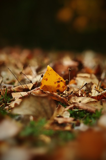 尤文前鋒迪巴拉的女友自承是雙性戀.