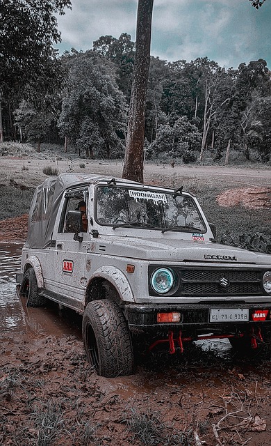 克福球員的 克福球員的