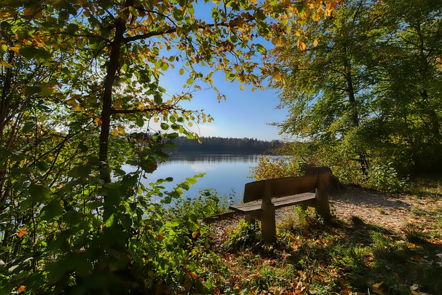 她不仅肩颈 她不仅肩颈