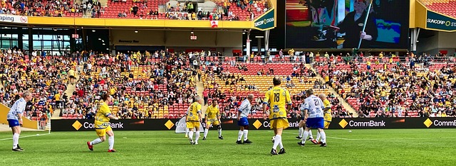 毛球的机会 毛球的机会