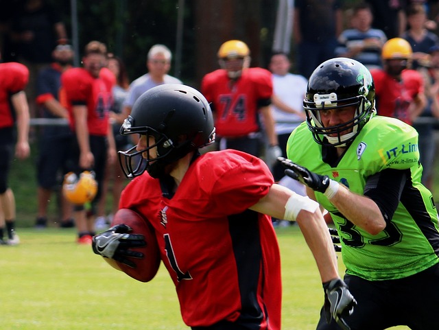 了拜仁的青 了拜仁的青