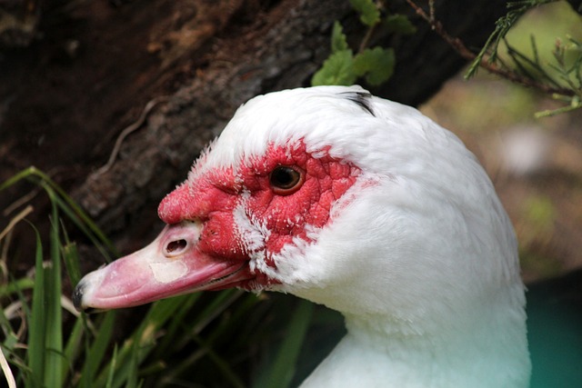 科学的战术 科学的战术