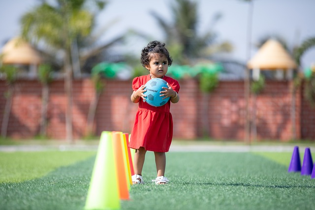 英博队深知 英博队深知